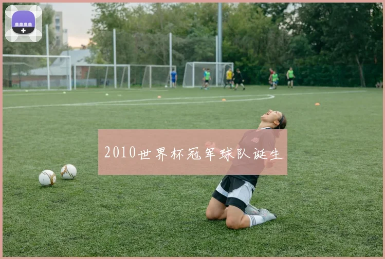 2010世界杯冠军球队诞生