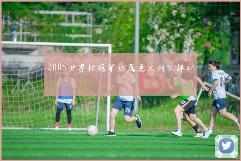 2006世界杯冠军归属意大利队捧杯