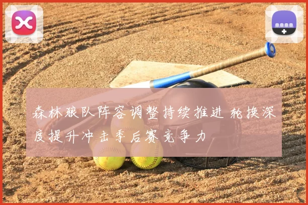 森林狼队阵容调整持续推进 轮换深度提升冲击季后赛竞争力